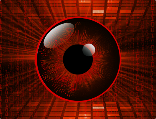 Edge AI supports people with impaired vision